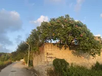 Baoge Inn
