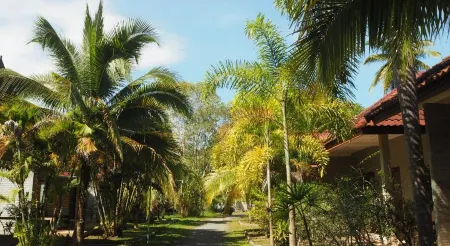 Coconut Bungalow