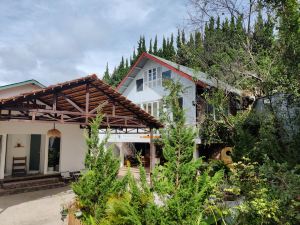 Summer Stay - Da Lat