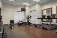 DoubleTree by Hilton Chicago O'Hare Airport-Rosemont - Træningscentre