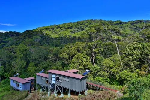 The Rainforest Ecolodge - Sinharaja with Shuttle Service from Car Park Hotels in Deniyaya