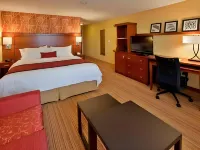 Courtyard Austin Parmer/Tech Ridge Hotel in zona Dollar General