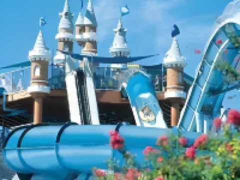 Hill Country Inn & Suites - New Braunfels / Gruene