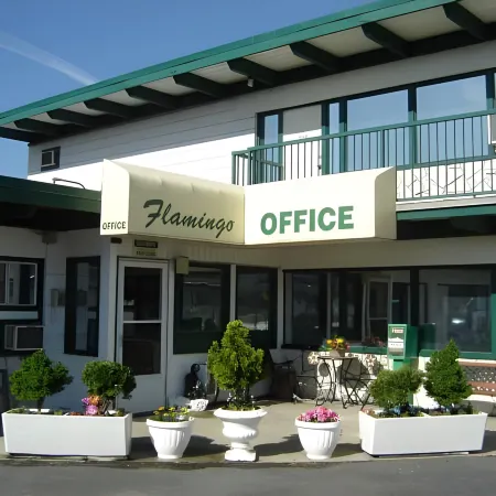Flamingo Motel