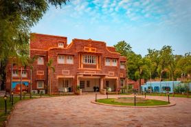 Tree Of Life Bhadrajun House, Jodhpur