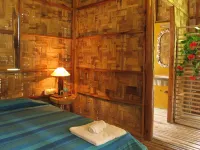 The Forest Elephant - Formerly Known As the Flying Elephant