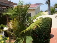 Pauline's Apartments Hoteles en Palm Beach