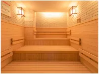 阿蘇熊本機場顯赫酒店 - SPA