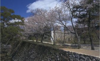 더 그랜드 코트 마쓰사카