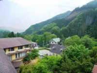 Ryokan Tanigawa - Mountain view