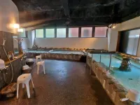 Tochiomata Onsen Healing Hot Spring Inn Jinpukan - Hot Springs