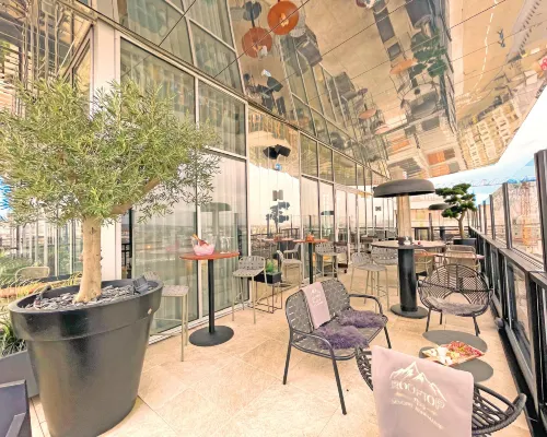 阿訥馬斯中心日內瓦港諾富特 公共區域 Photos