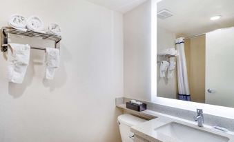 Best Western Posada Royale Hotel & Suites