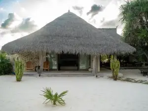Sardine Beach House