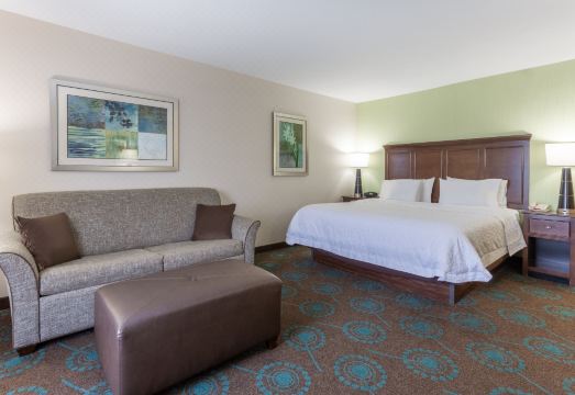 햄프턴 인 미니애폴리스/샤코피