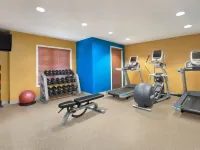 Homewood Suites by Hilton Kansas City - Airport Hotéis em May