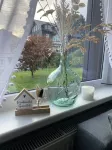 Vacation cottage garden view directly at the forest & spa gardens
