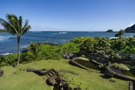 Oceanview #105 at Hana Kai Maui - Sweet Studio Unit, Great View and Decor!