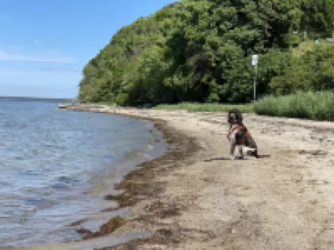 Holla Die Boddenfee @Höfthus 68Sqm Own Entrance Thatched Roof Terrace Sea View Hotels in Monchgut