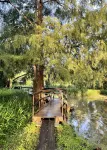 Charming cabin on Lower Grand River — Bayou Pigeon, Louisiana