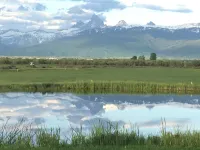 Yellowstone & Grand Teton Parks!3 Community Hot Tubs! Updated, Stocked & Clean!