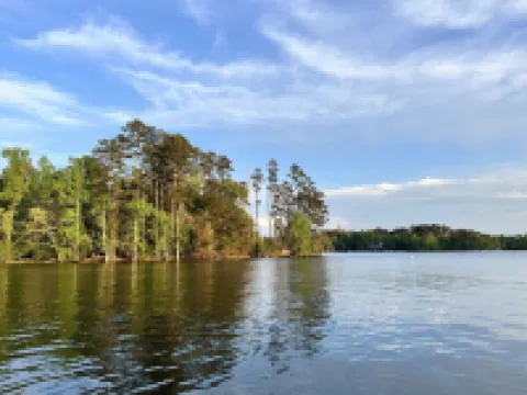 Dock Holiday - beautiful views on Badin Lake