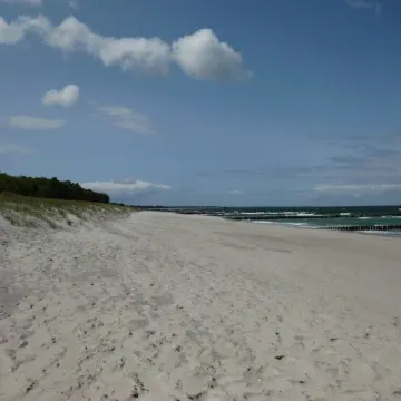 Comfortable dream house + 150m to the beach + south terrace + beach chair + dogs welcome