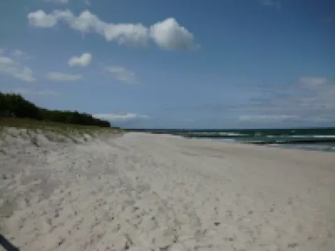 Comfortable dream house + 150m to the beach + south terrace + beach chair + dogs welcome