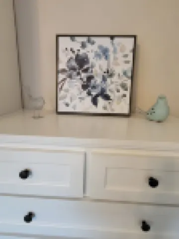 Charming, private, pet friendly cottage close to all that San Diego has to offer