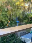 Coastal cottage, walk to surf, sand, town, cafes, bars, just north of Forster.