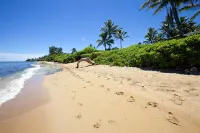 Gated Beachfront Estate - On the Sand -Secluded Beach safe year round TVNC-4245 - 5 stjerner