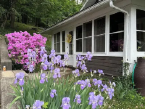 Bird's Eye View- Bungalow with Screened-in Porch and Fireplace Hotels in Orange County