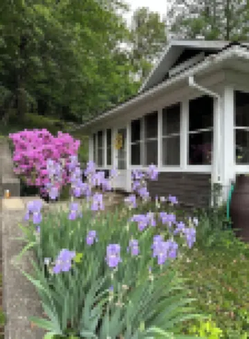 Bird's Eye View- Bungalow with Screened-in Porch and Fireplace
