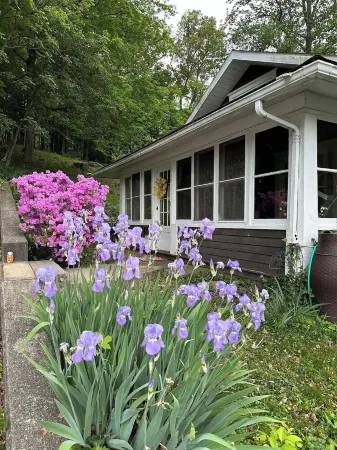 Bird's Eye View- Bungalow with Screened-in Porch and Fireplace