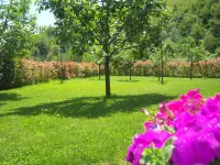 NATURE - cottage with garden, shared pool, private veranda Hotels in Gallicano