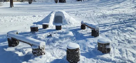 Charming home with a pool