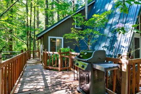 Olympic A-Frame - Close to Olympic NP, lake access