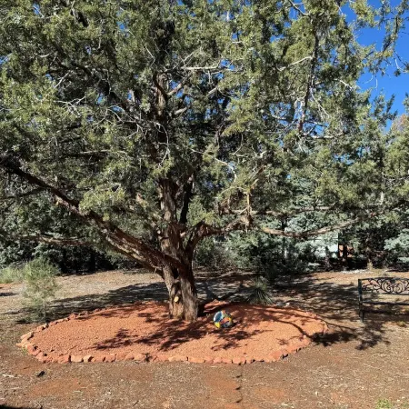 Sedona Hiker’s Retreat with hot tub