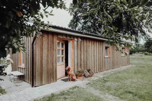 Wooden house in the countryside with fireplace - Lytte Hytte | Holiday house Wingst