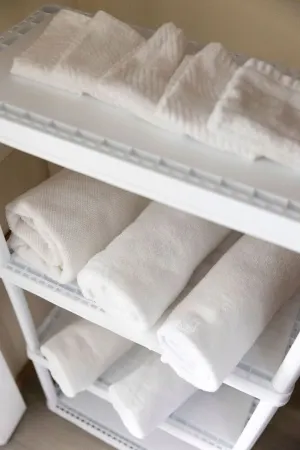 Escape to Horse Ranch close to Hershey, Lanc, Nook, Sight & Sound, Amish Country