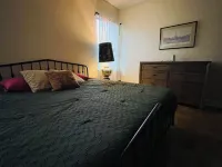Homey Honey Hive Hotels near St Tammany Parish Fair Grounds