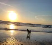 Ocean Breeze Retreat - 6 minute walk to the beach!