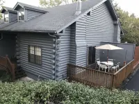 Farmhouse Themed Cabin Condo Close to All Branson Fun, Area Lakes~ Pet Friendly