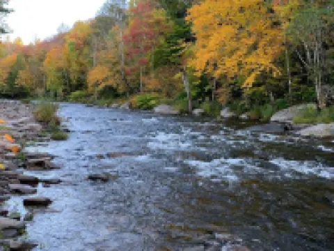 Hunter Mountain Getaway House, newly renovated ハンターのホテル