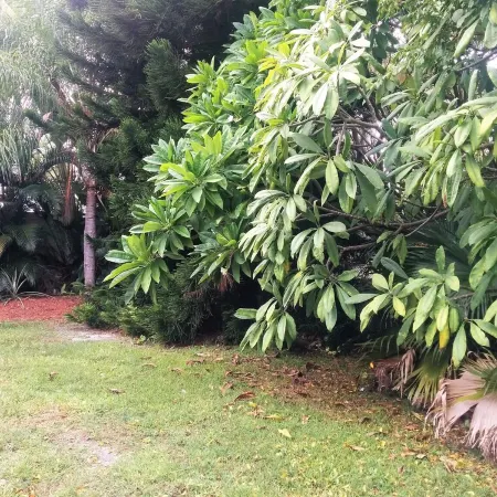Stunning Indoor & Outdoor Living Near Beach and Shopping. Close to Boca Raton