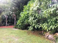 Stunning Indoor & Outdoor Living Near Beach and Shopping. Close to Boca Raton - 3성급