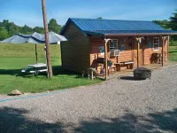 Cabin Borders Zaleski State Forest 40 Private Acres with Stocked Pond