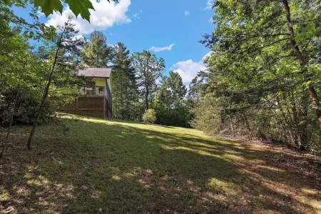 Cozy Cabin Private Mountain