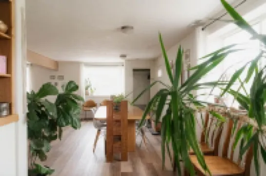 🦙 Lava Yay Frame - Bright High desert Cabin.