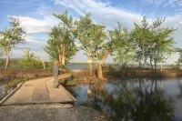 Nature Lover's Paradise!